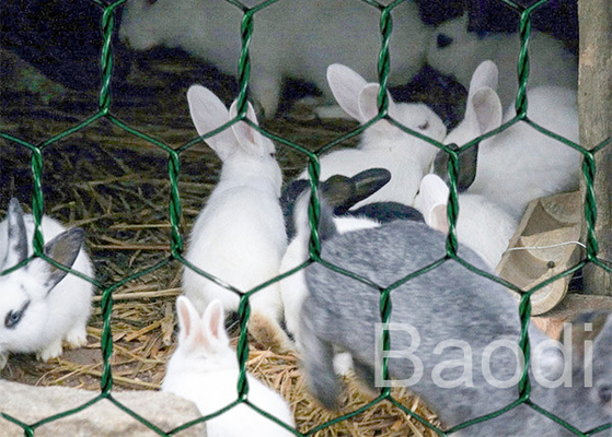 Fio galvanizado do ferro da galinha rede de arame revestida plástica como o cerco da malha