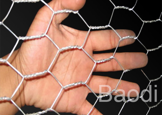 3' rede de arame da galinha do rolo de X 100 ' que cerca 1,5" zinco da abertura da malha chapeado