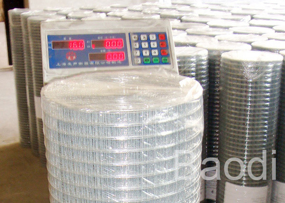 A malha soldada galvanizada 14 calibres Rolls, minas soldou a rede de arame de aço inoxidável