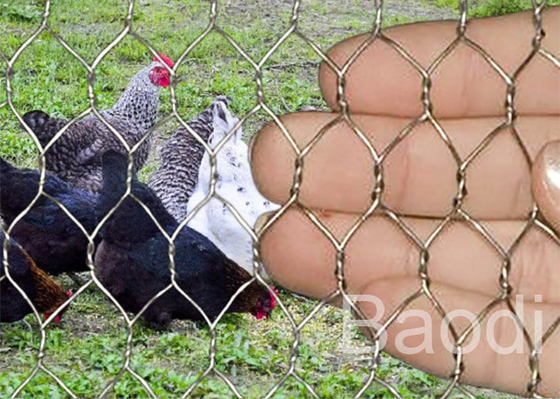 Tela inoxidável para a proteção do coelho, baixa cerca do fio de galinha da jarda de galinha do aço carbono