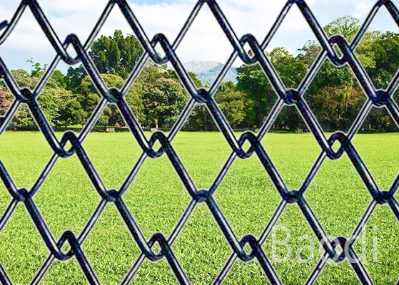 Painéis da cerca da privacidade com teste padrão de furo do diamante, cerca de fio do ciclone do jardim