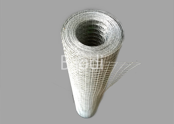 Comprimento soldado galvanizado mergulhado quente 1m de Rolls 30m da tela de rede de arame alto