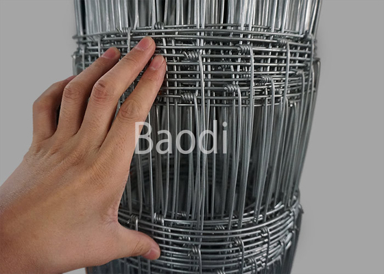 Fio tecido ferro do carbono que cerca a corrosão de Rolls e a resistência de oxidação