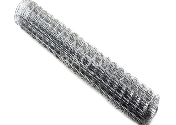 1/2” galvanizou a rede de arame soldada para a camada do zinco da prata da construção
